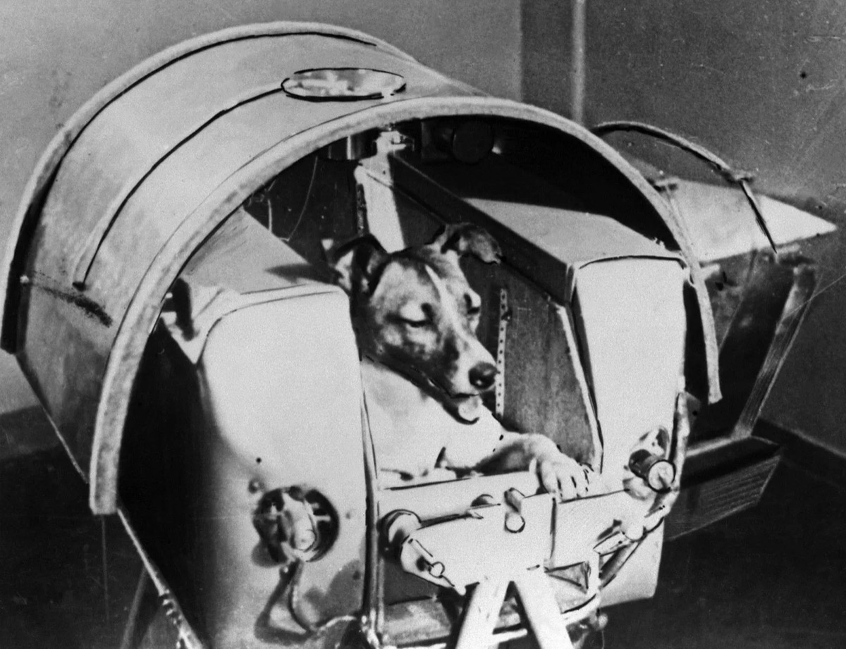 Sputnik 2